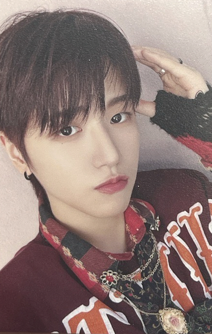 WHY 環球單封 狗耳2