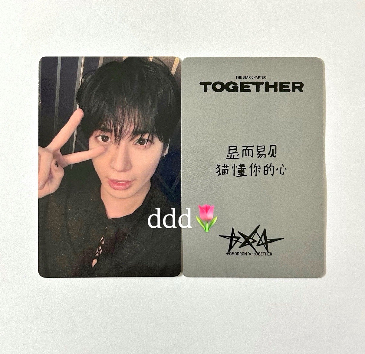 太顯 小貓 中文卡背 姜太顯 yzy