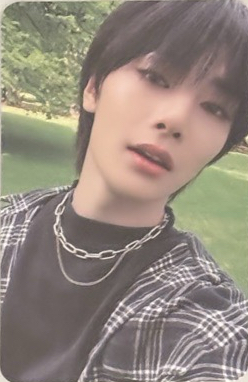 5-STAR sw 特典卡 精寅