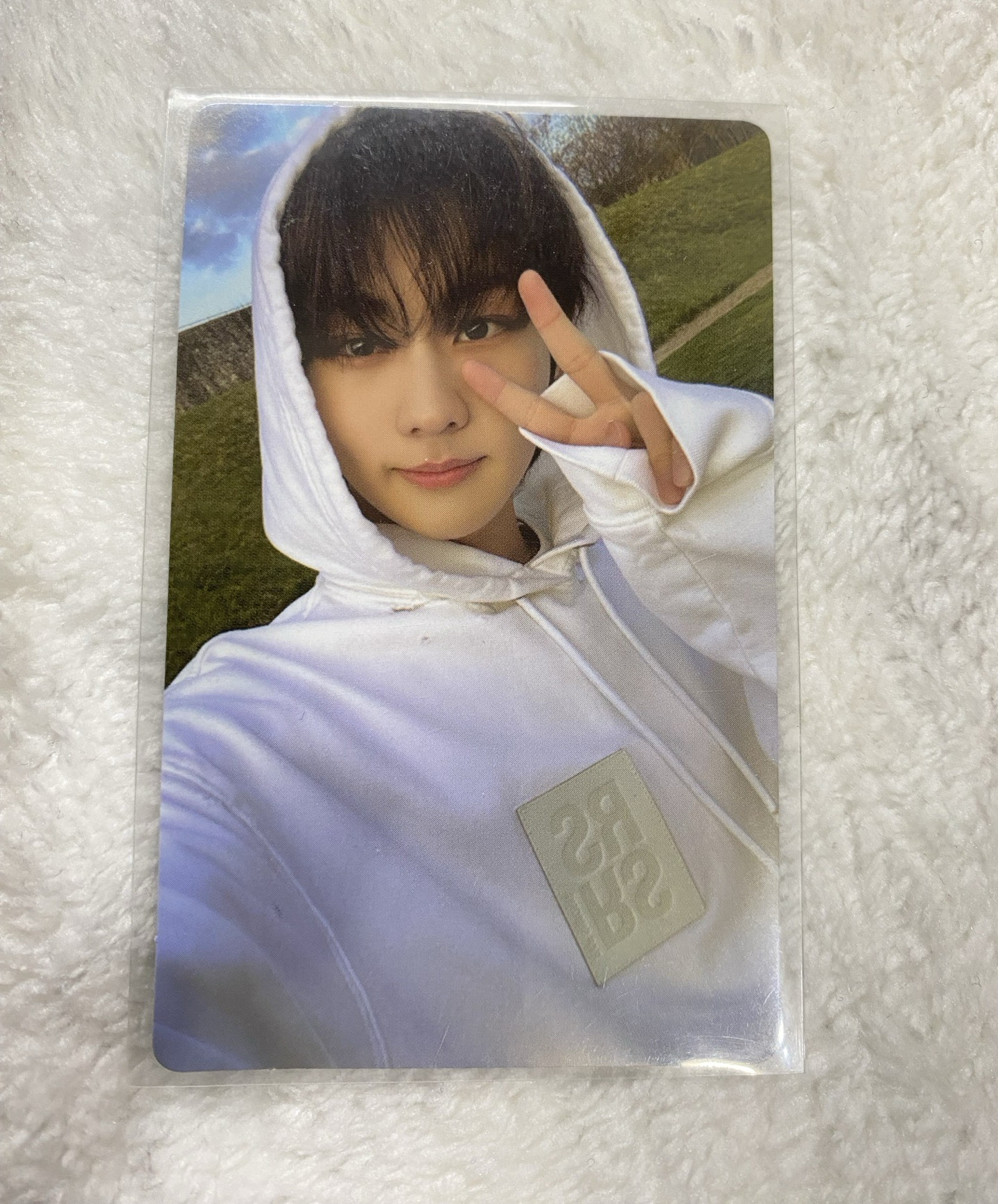 禎元 迷四 電子專 草地元