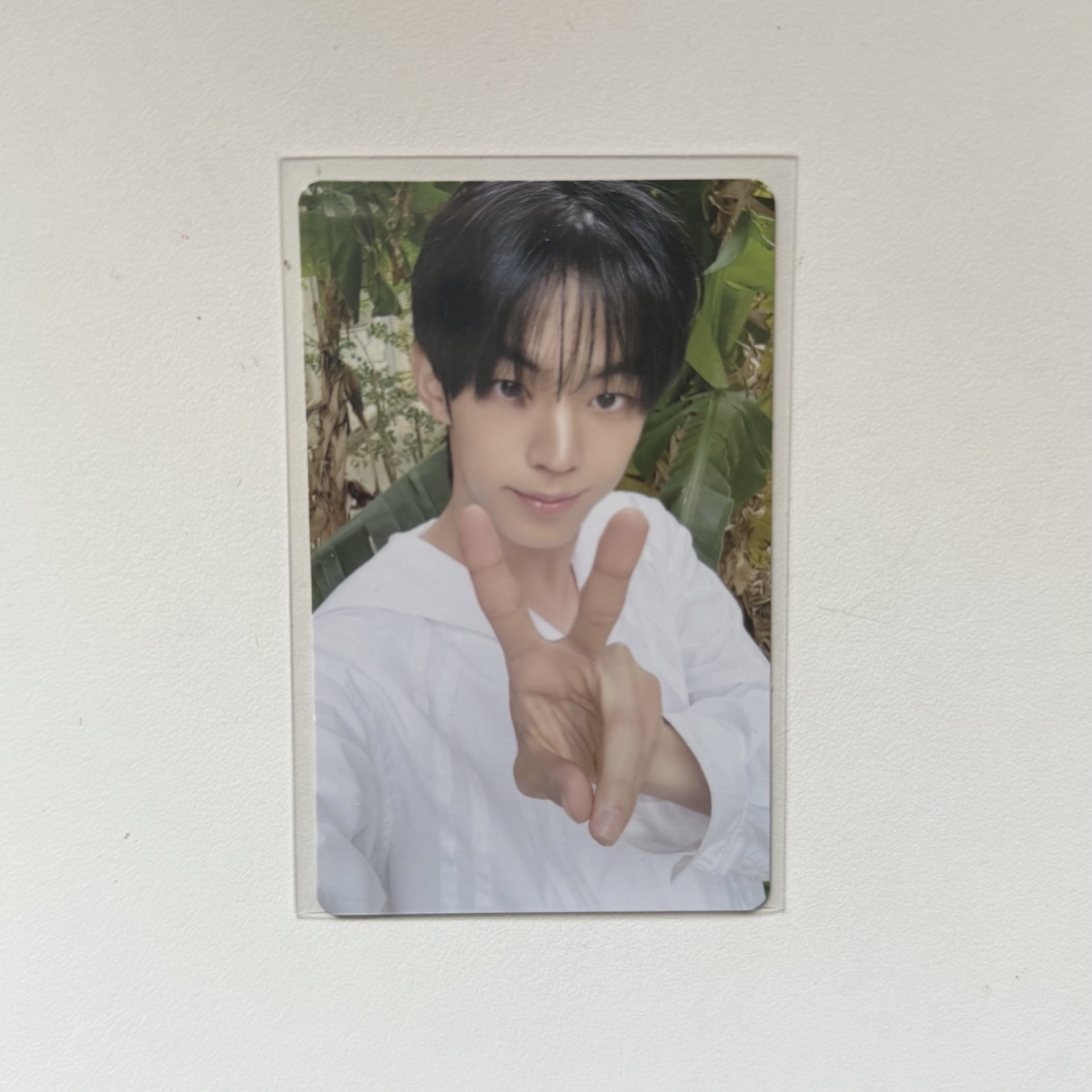 道勳 日專環球特典