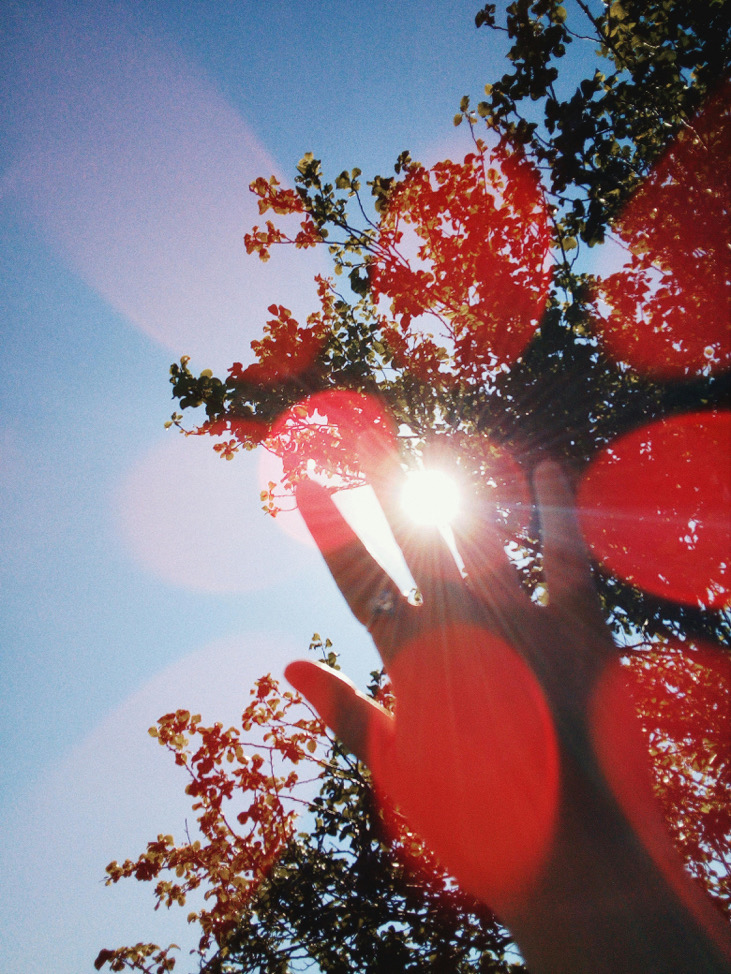 🌟請按完成訂單