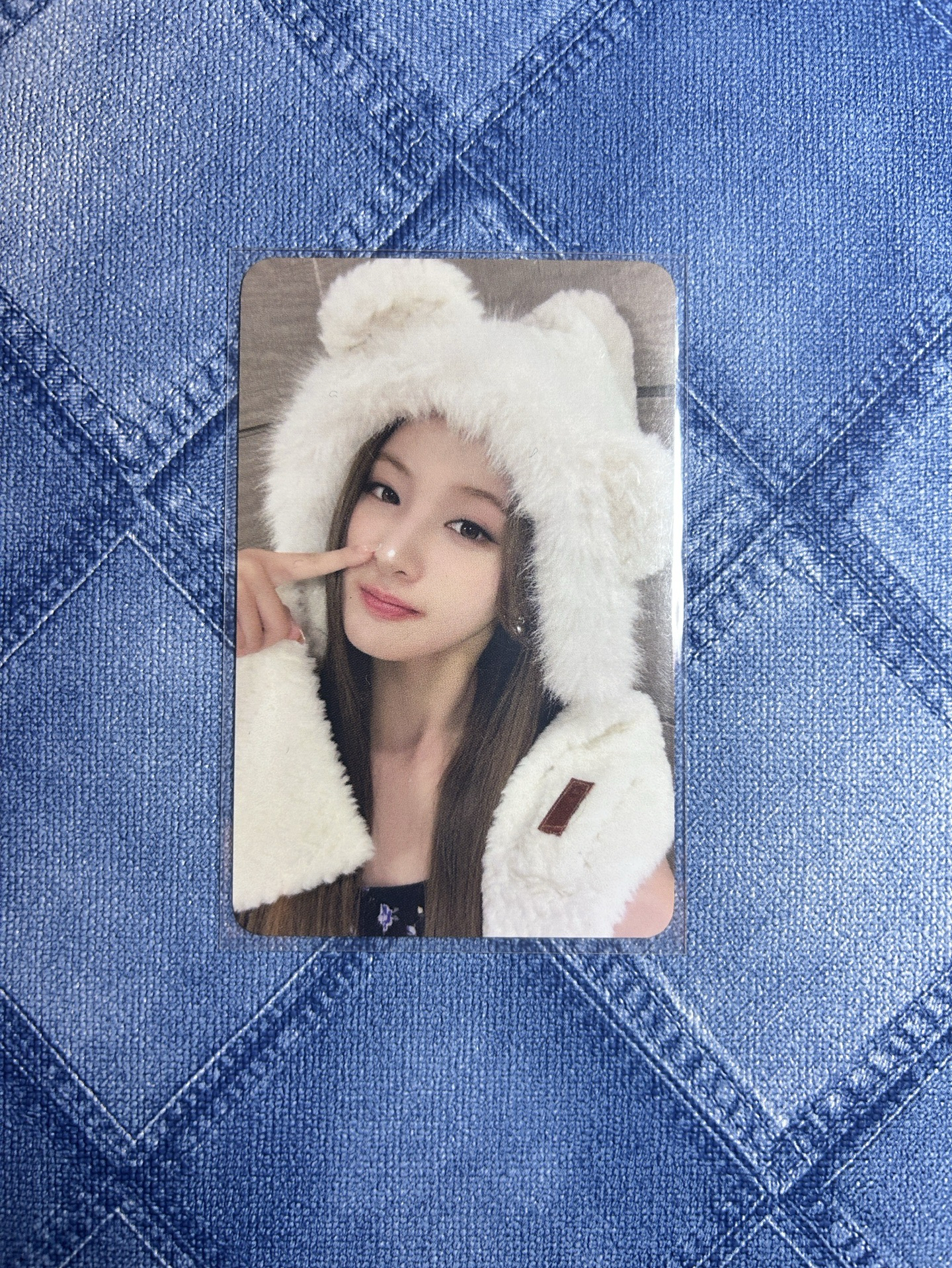 Belle｜台北白熊