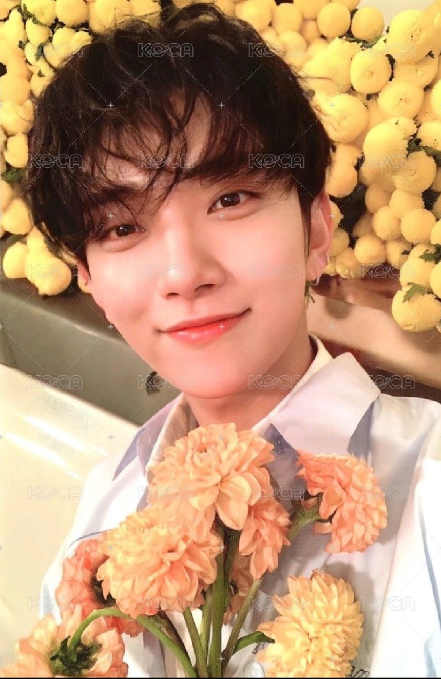 MINI8  撞球捧花秀 標價兩張不拆