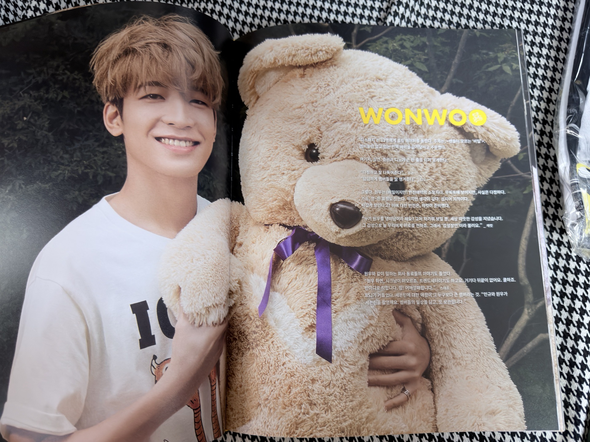 (現貨）dicon d社 絕版 小熊 寫真 團封 衣服 小卡 貼紙 勝哲淨漢知秀俊輝知勳明浩珉奎碩珉勝寛瀚率李燦