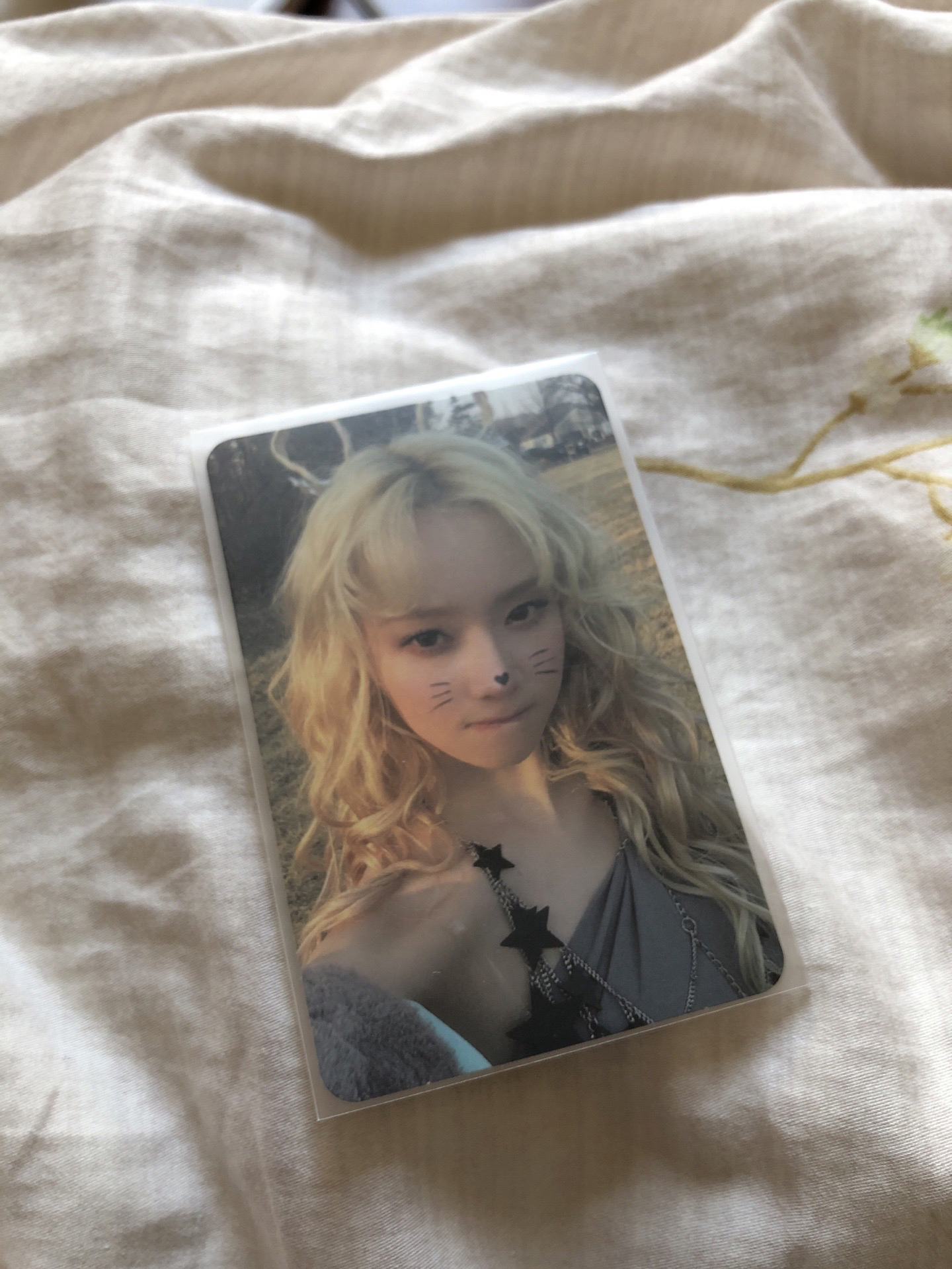 正規一 專輯卡 ZINE版冬 貓咪冬