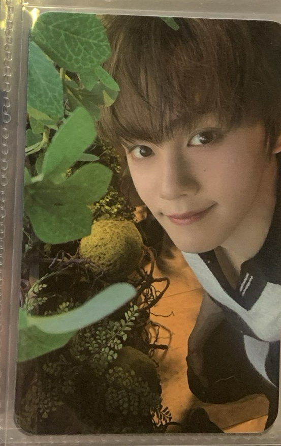 金奎彬 電影 小卡