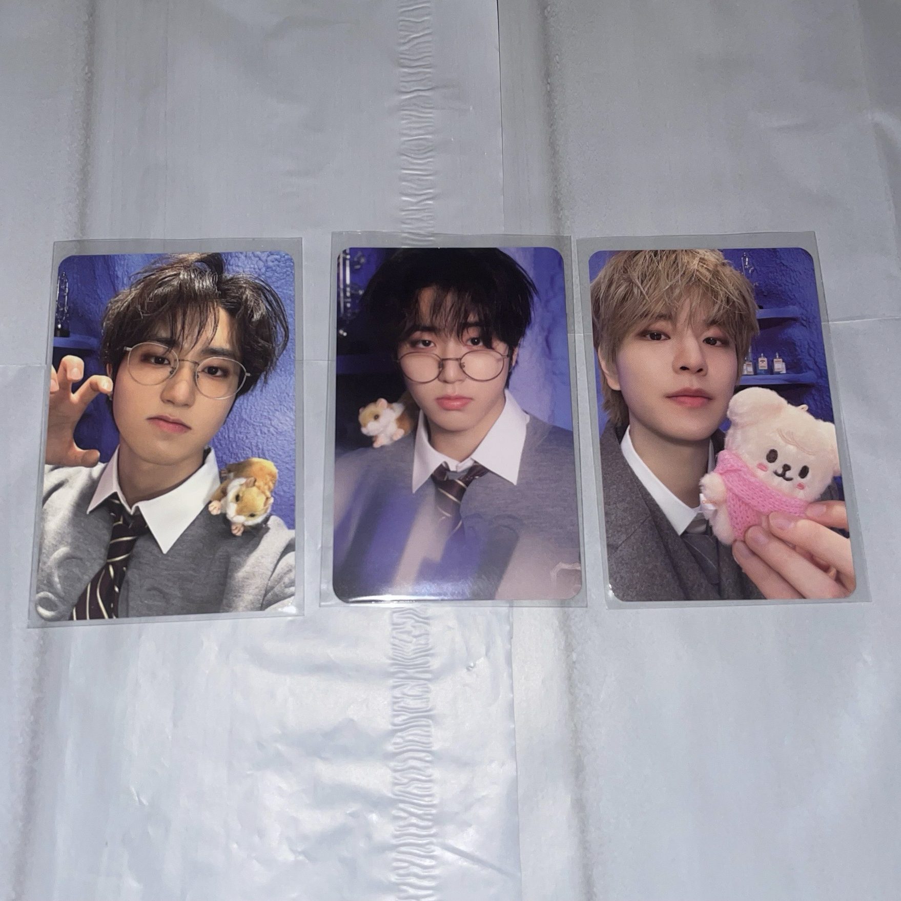  ･｡魔法 － 🐿️🐶･｡