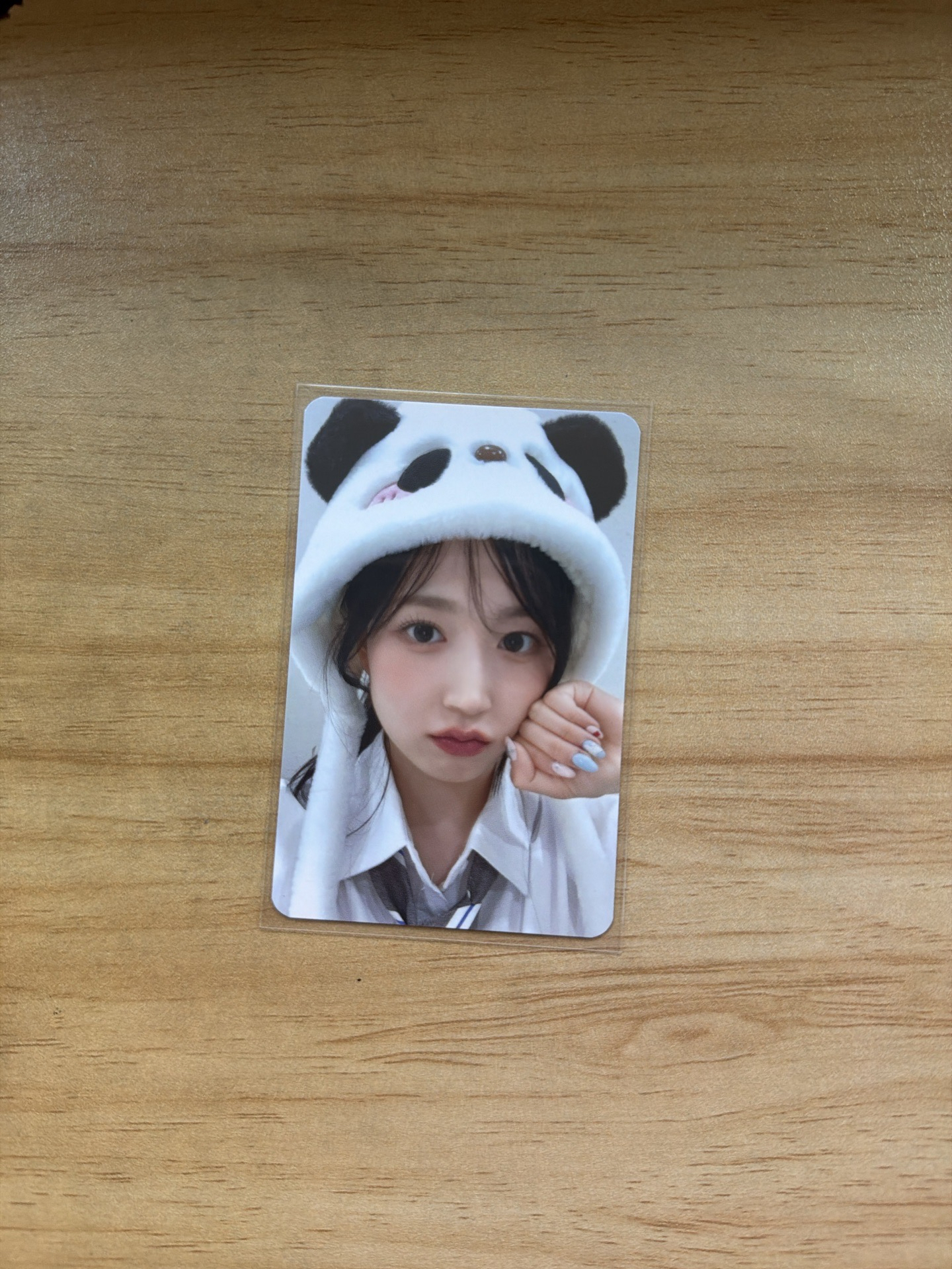 嫄 中文卡背 熊貓