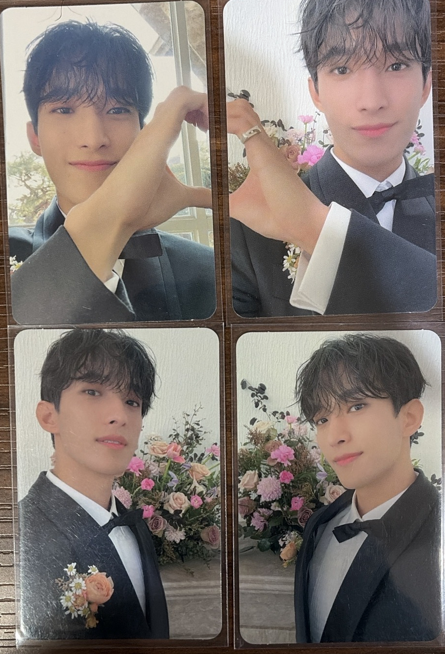 mini10 FML 克拉盤 碩