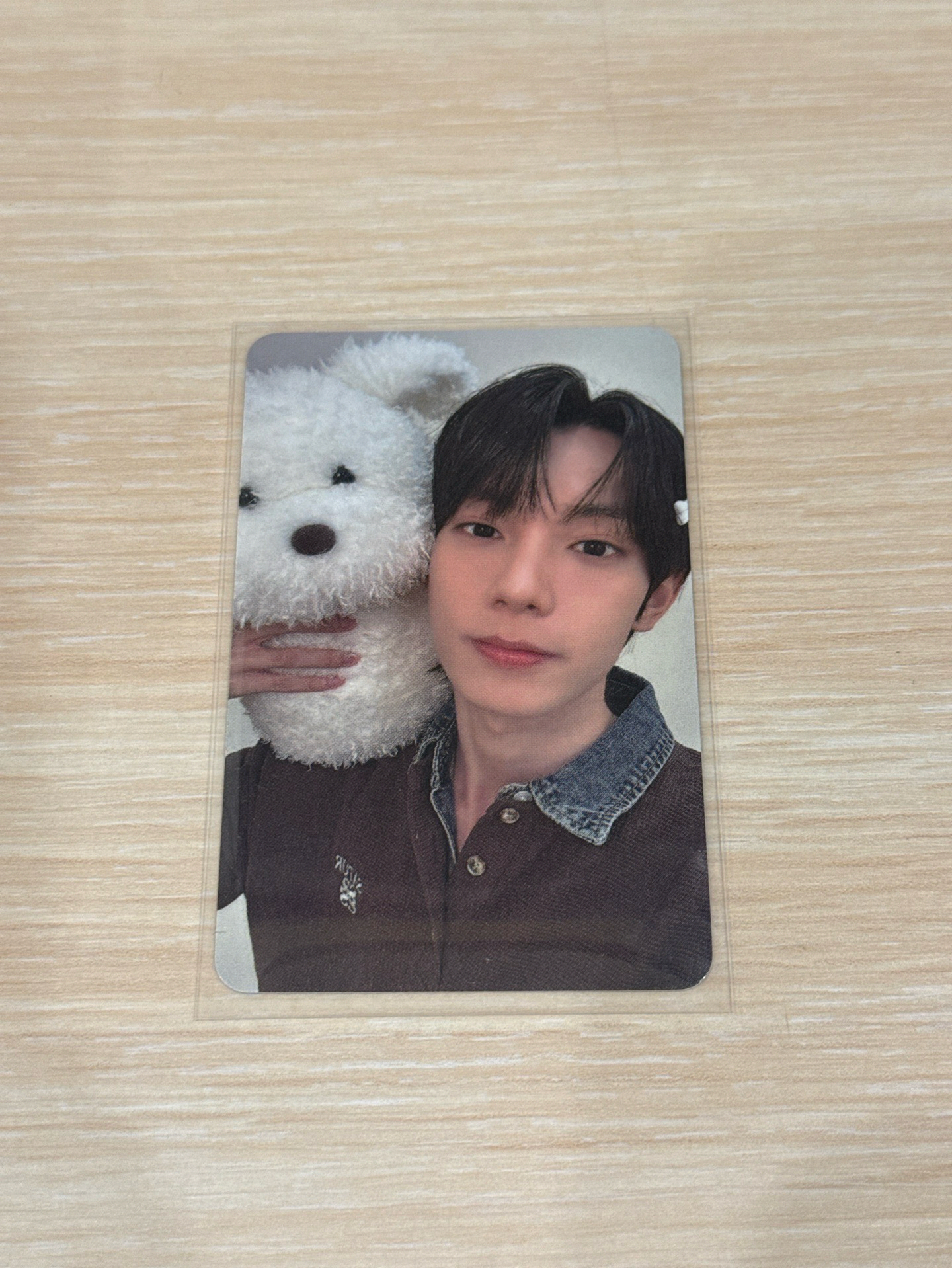 狗狗立于(⸝⸝ɞ̴̶̷ ·̫ ‹⸝⸝ᐡ)