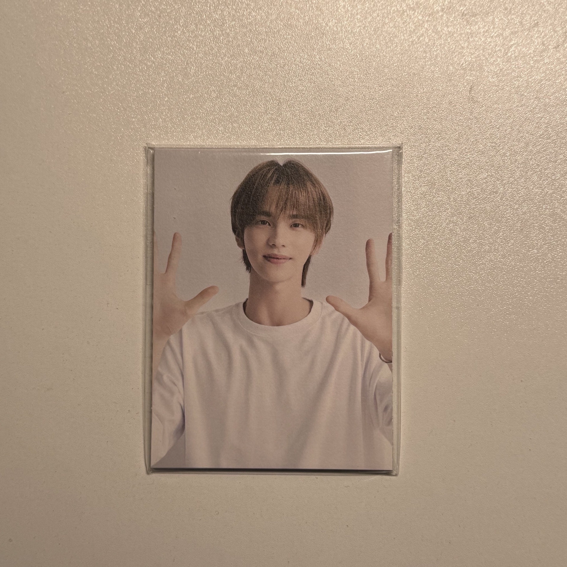 TWS 2025 deco kit 含特典