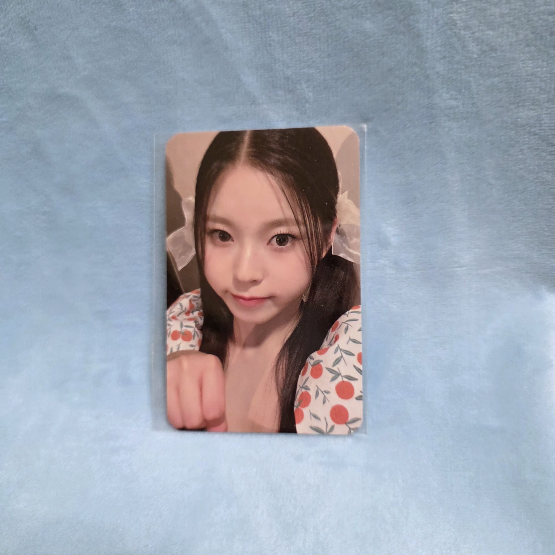 招財貓圭 全新未拆封