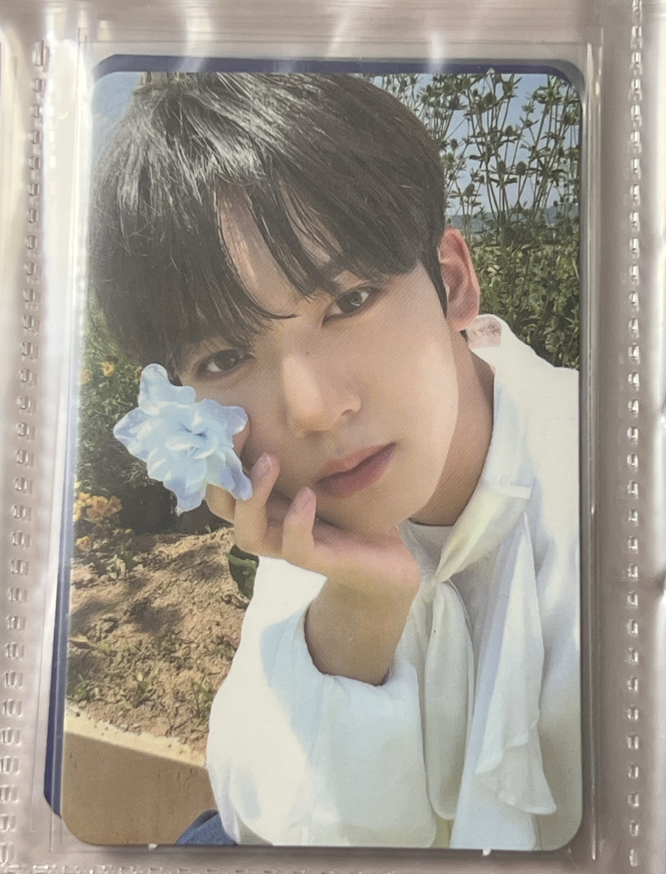 迷一 特典 藍花辰