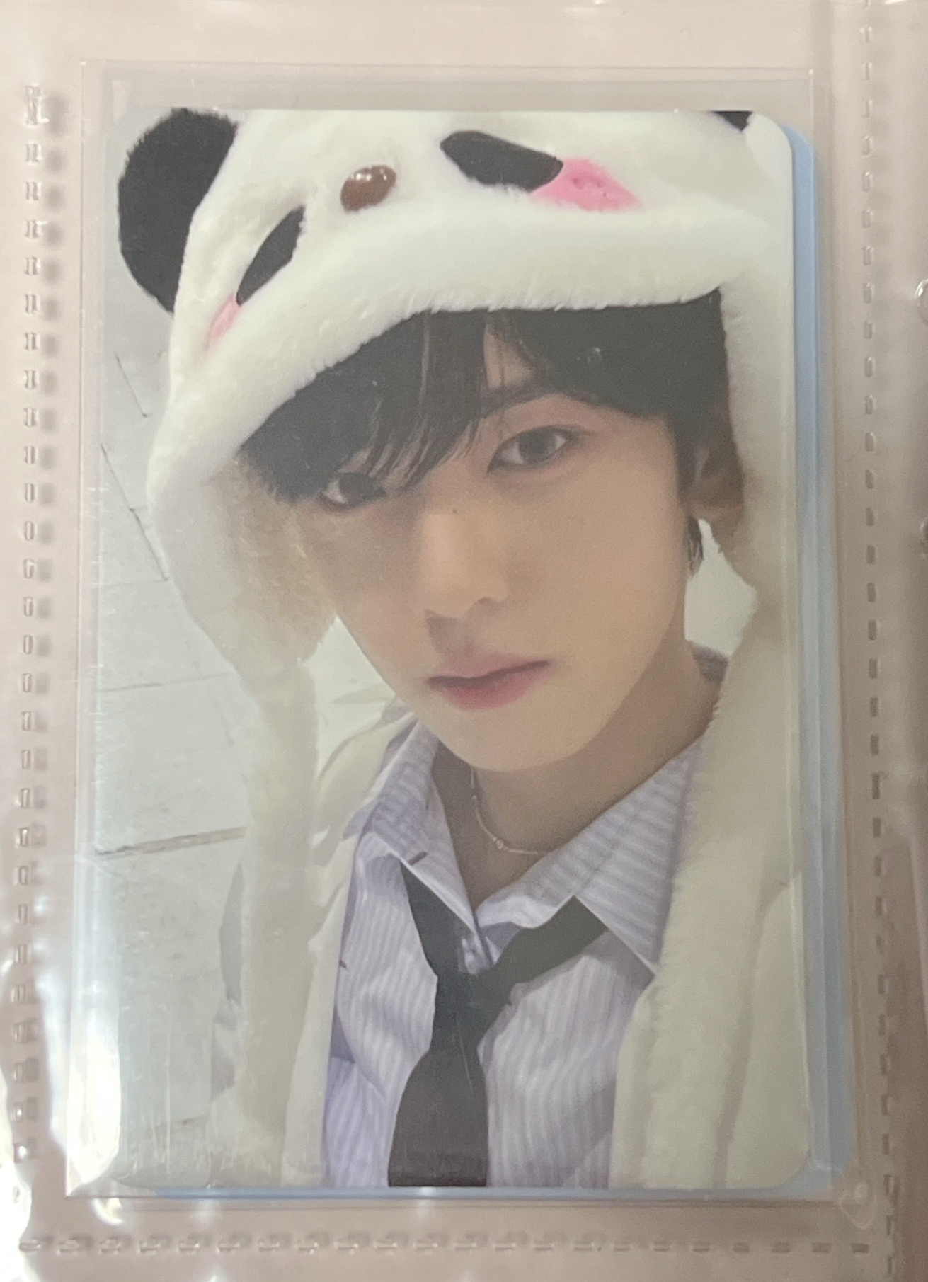 迷一 特典 熊貓辰