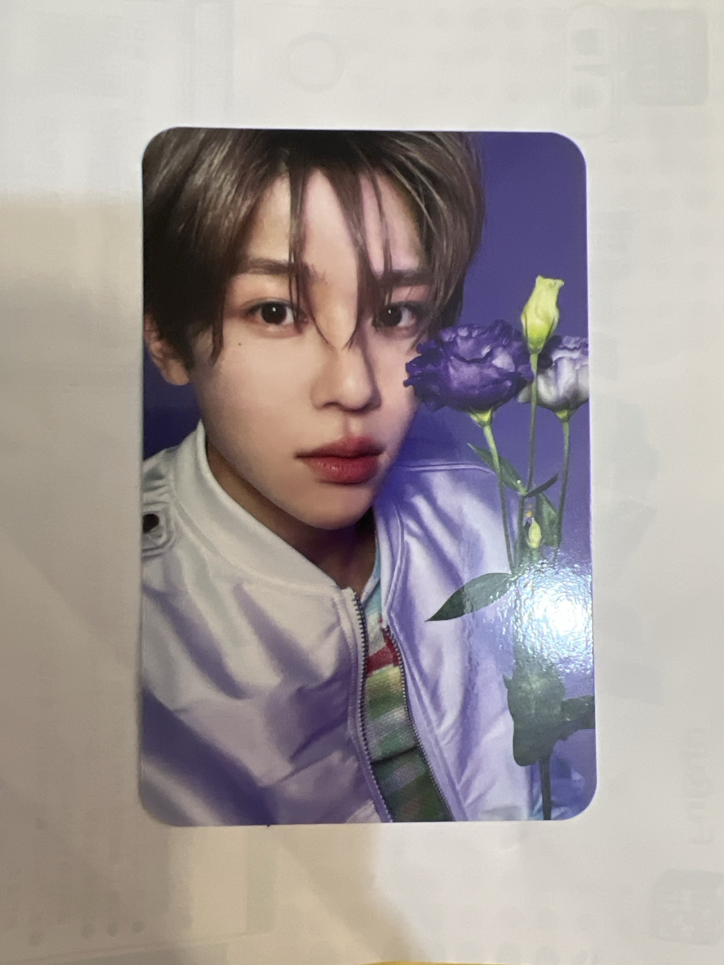 Songbird  是溫專+卡