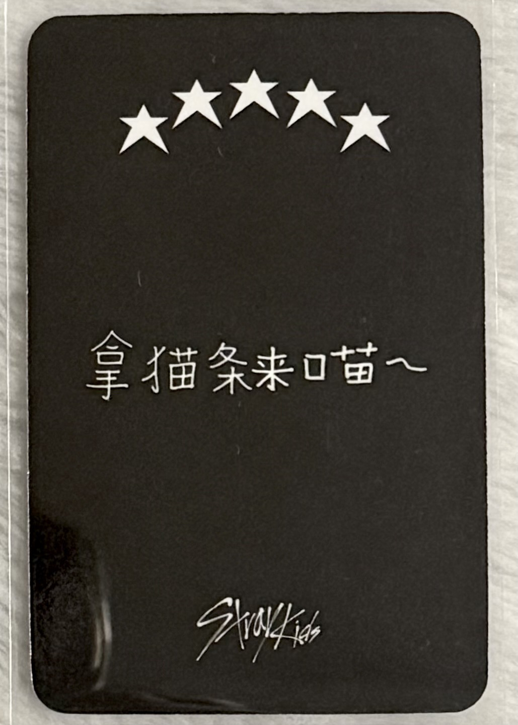 李旻浩 拿貓條來喵～