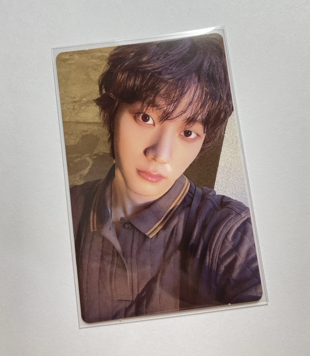 朴成淏 - 卷毛貓