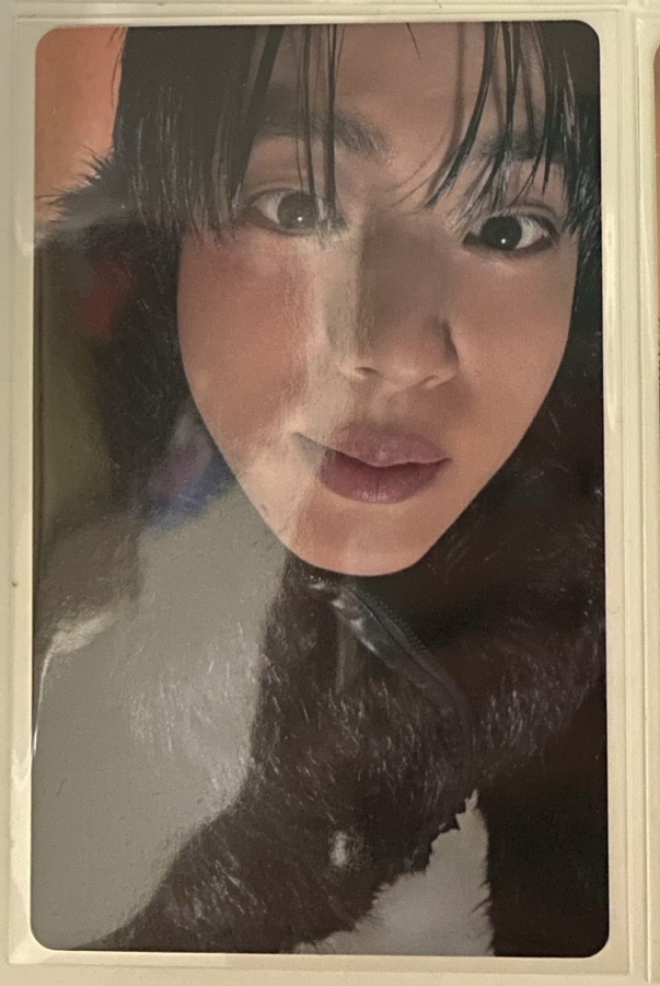 echo wvs通路 早鳥特典卡