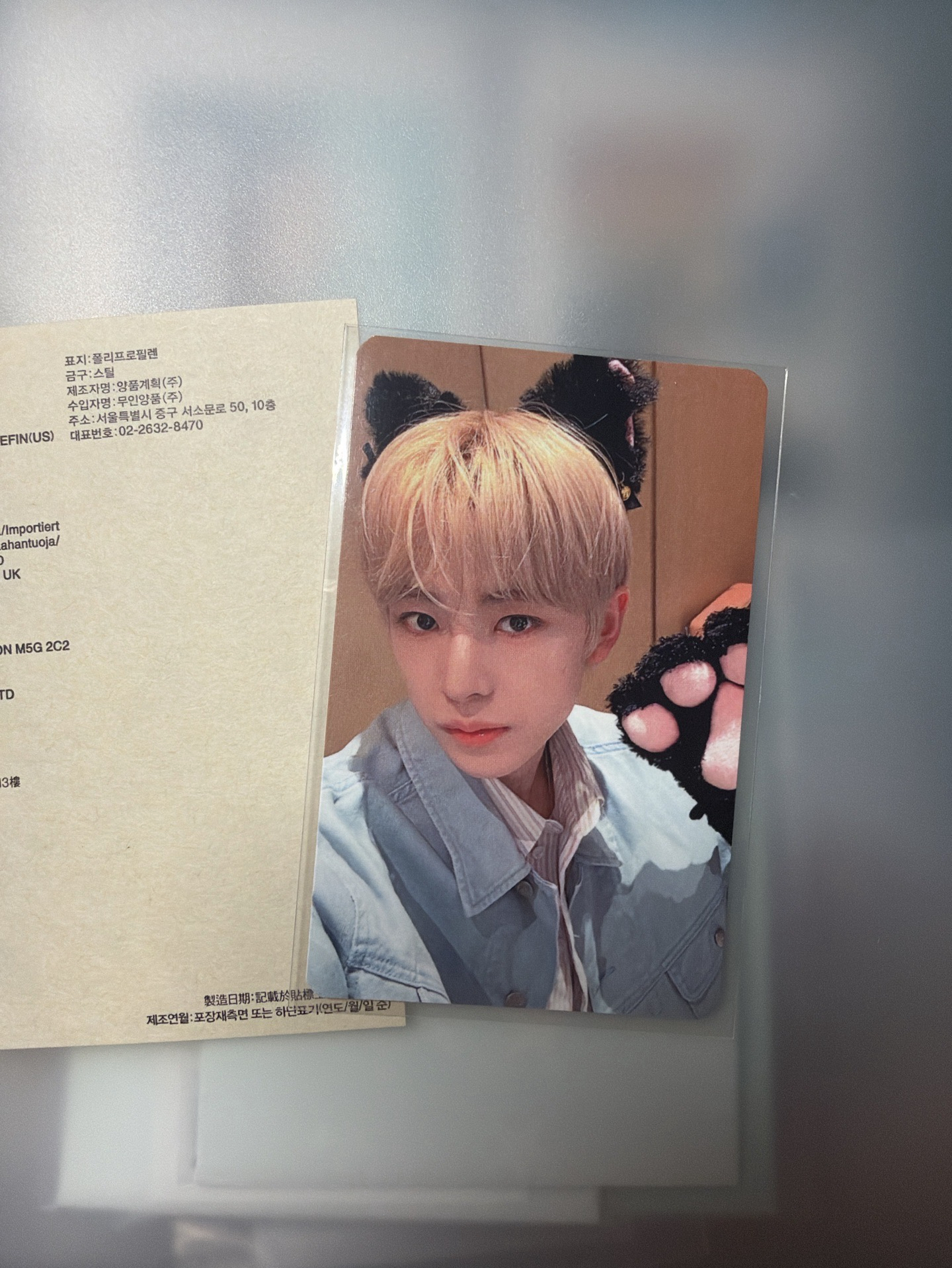 咪喵喵喵貓咪咪咪茂