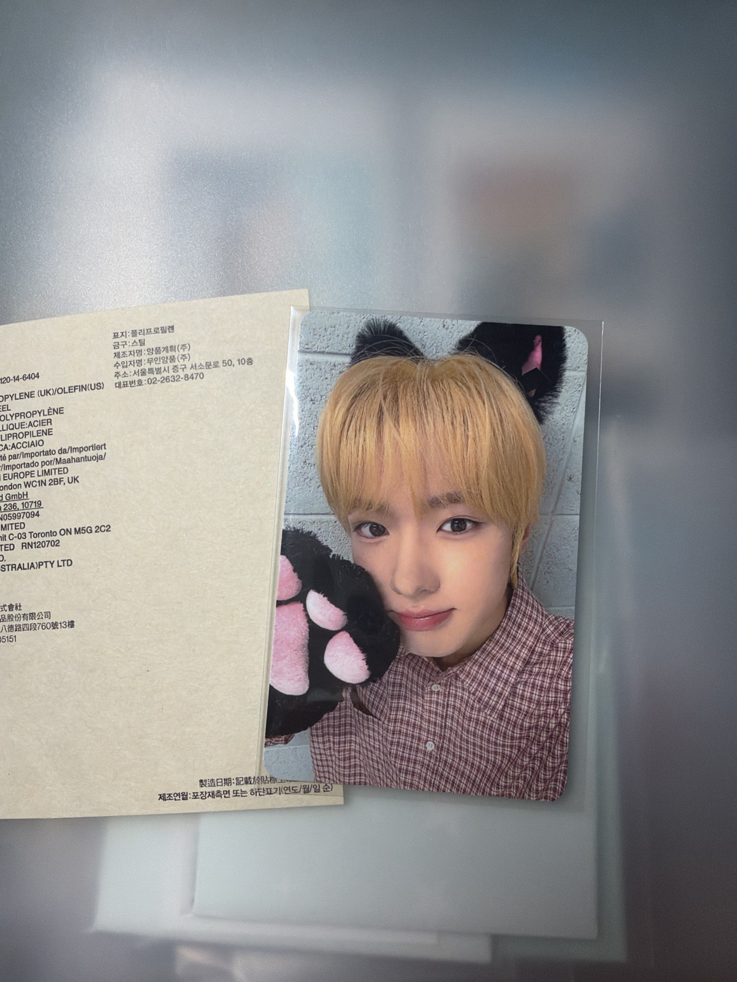 流浪小貓等姐姐帶回家😿