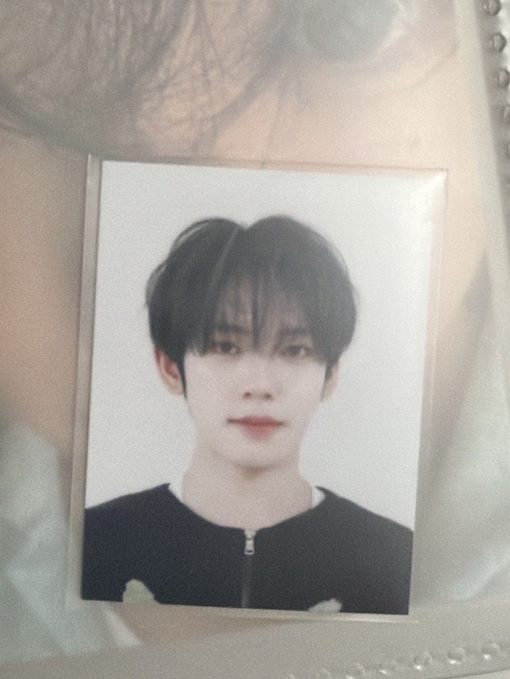 逆應援辰證件照