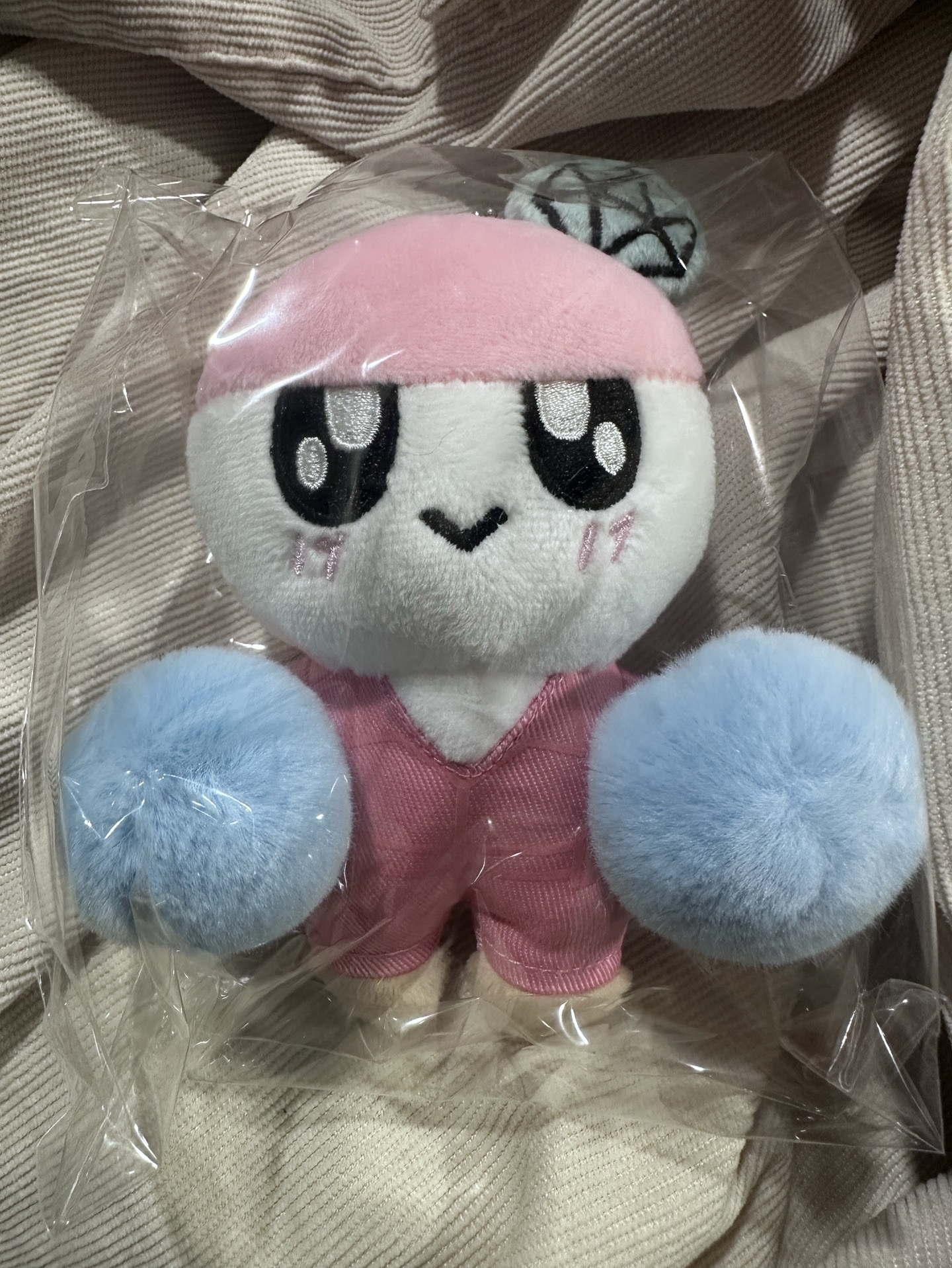 [SEVENTEEN] 23年克拉島蹦蹦（盒損）