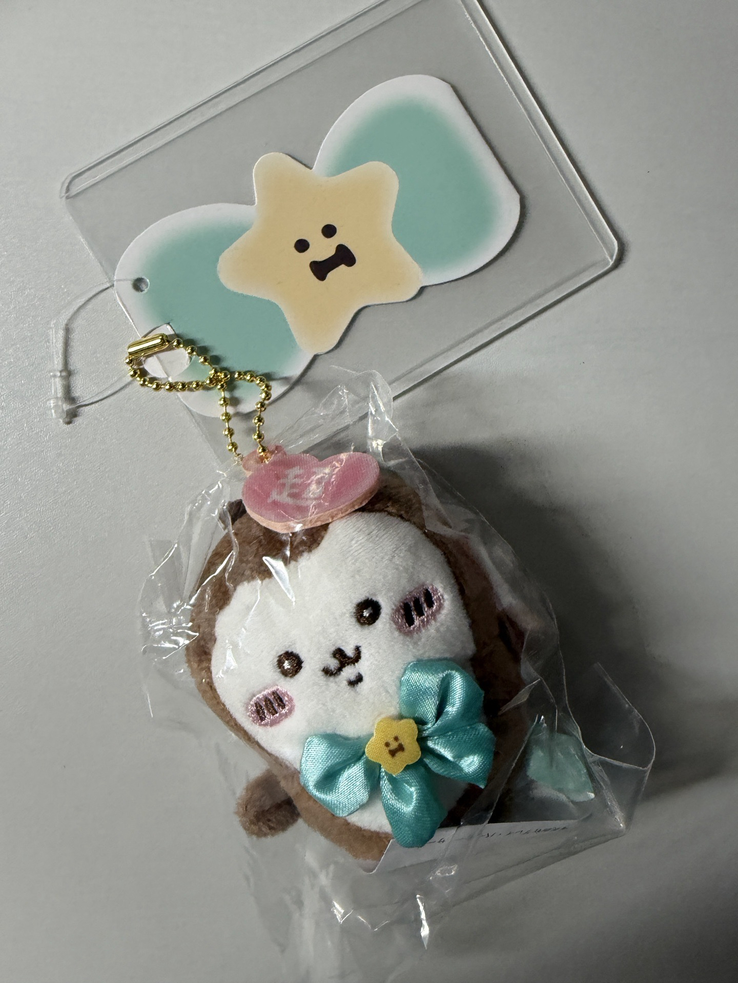 全新魔法小甲蟲