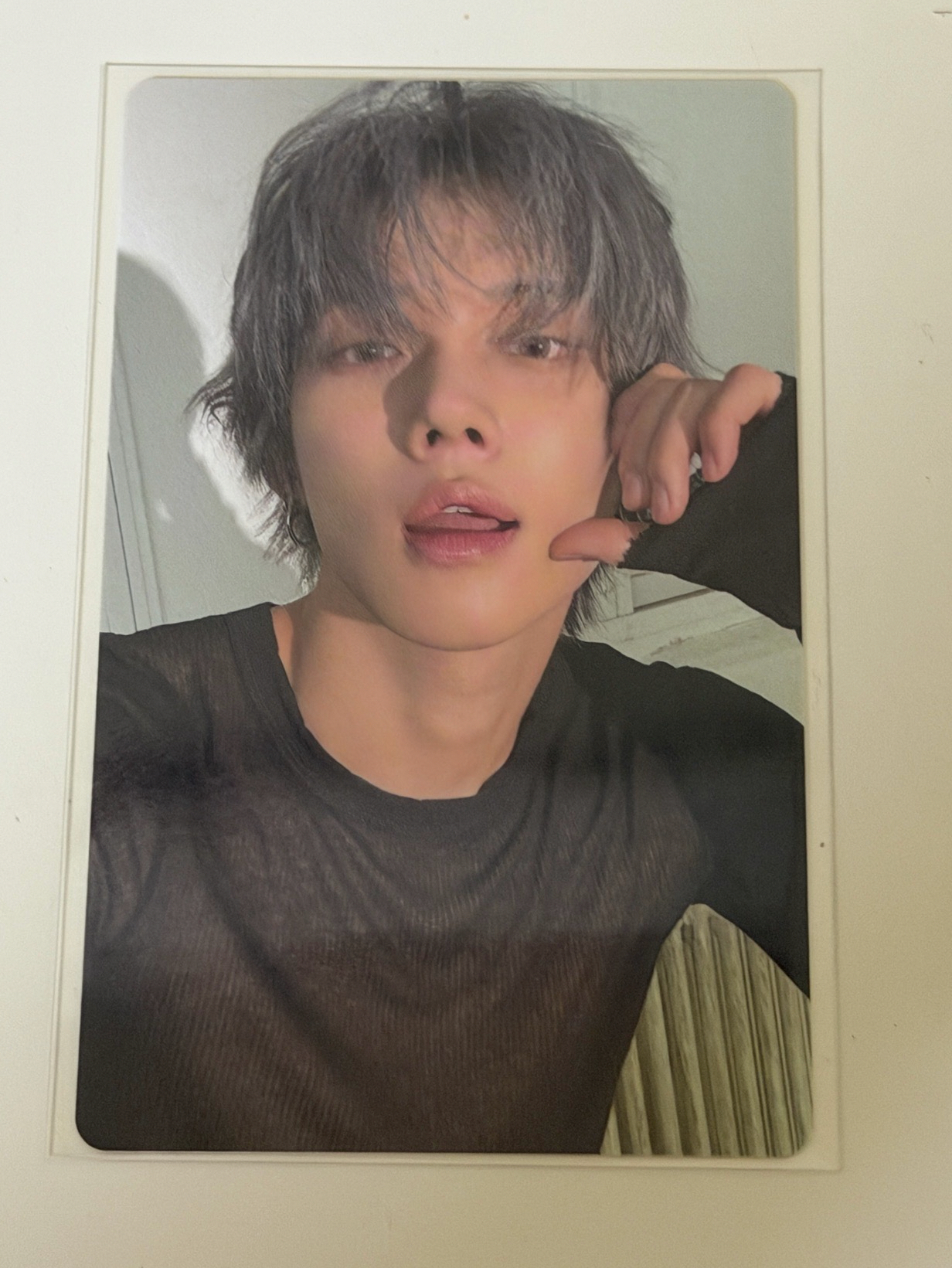 NO LABELS wvs 特典卡 