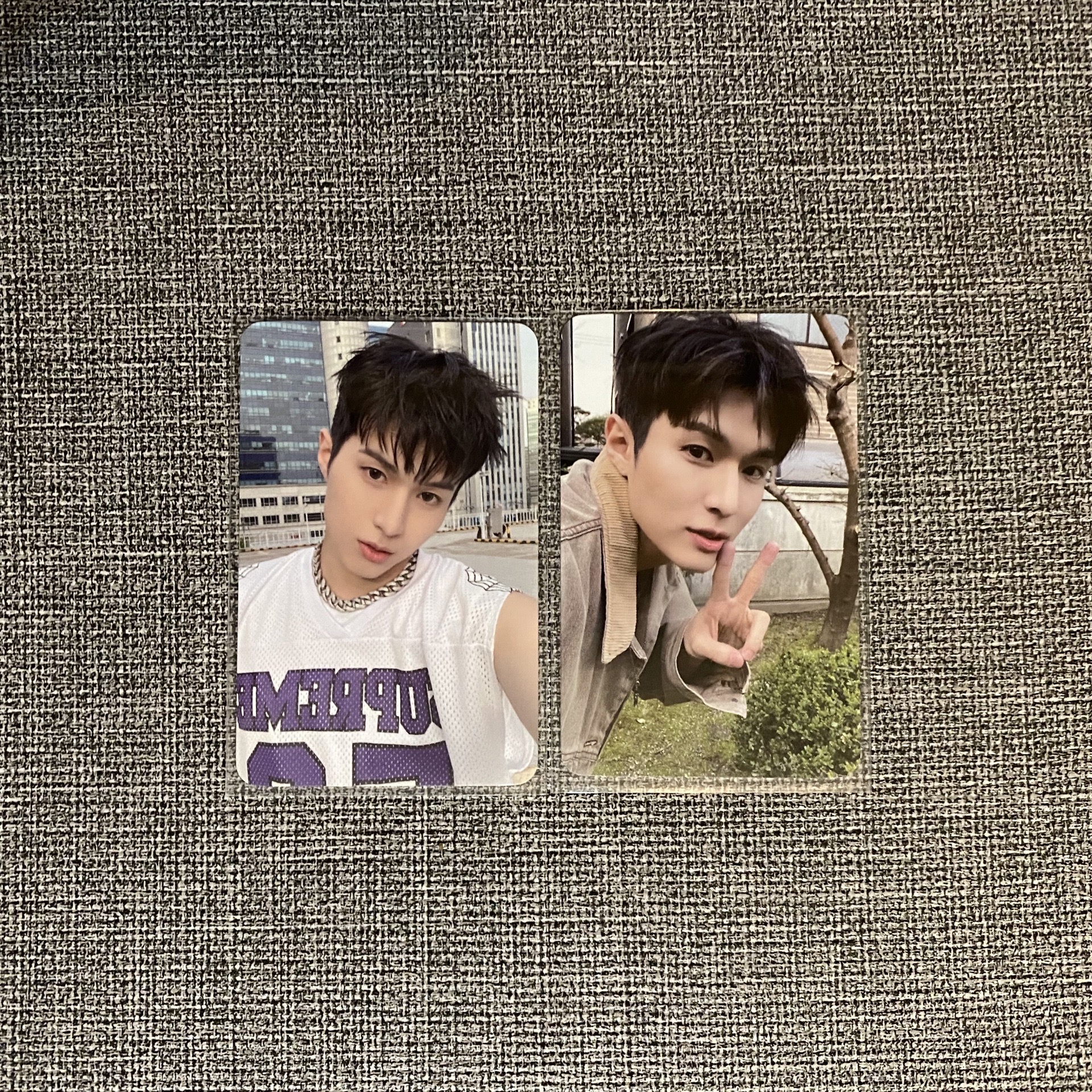 WHIB 劉昇容專卡