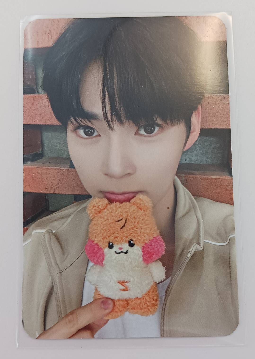 binini成韓彬盒娃卡