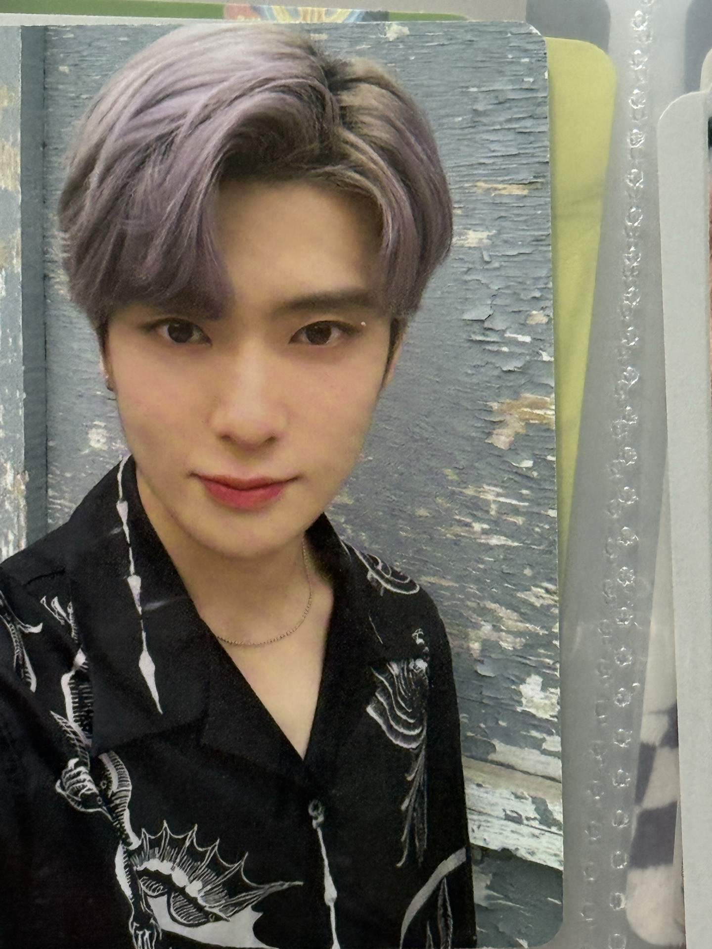 鄭在玹小卡 재현