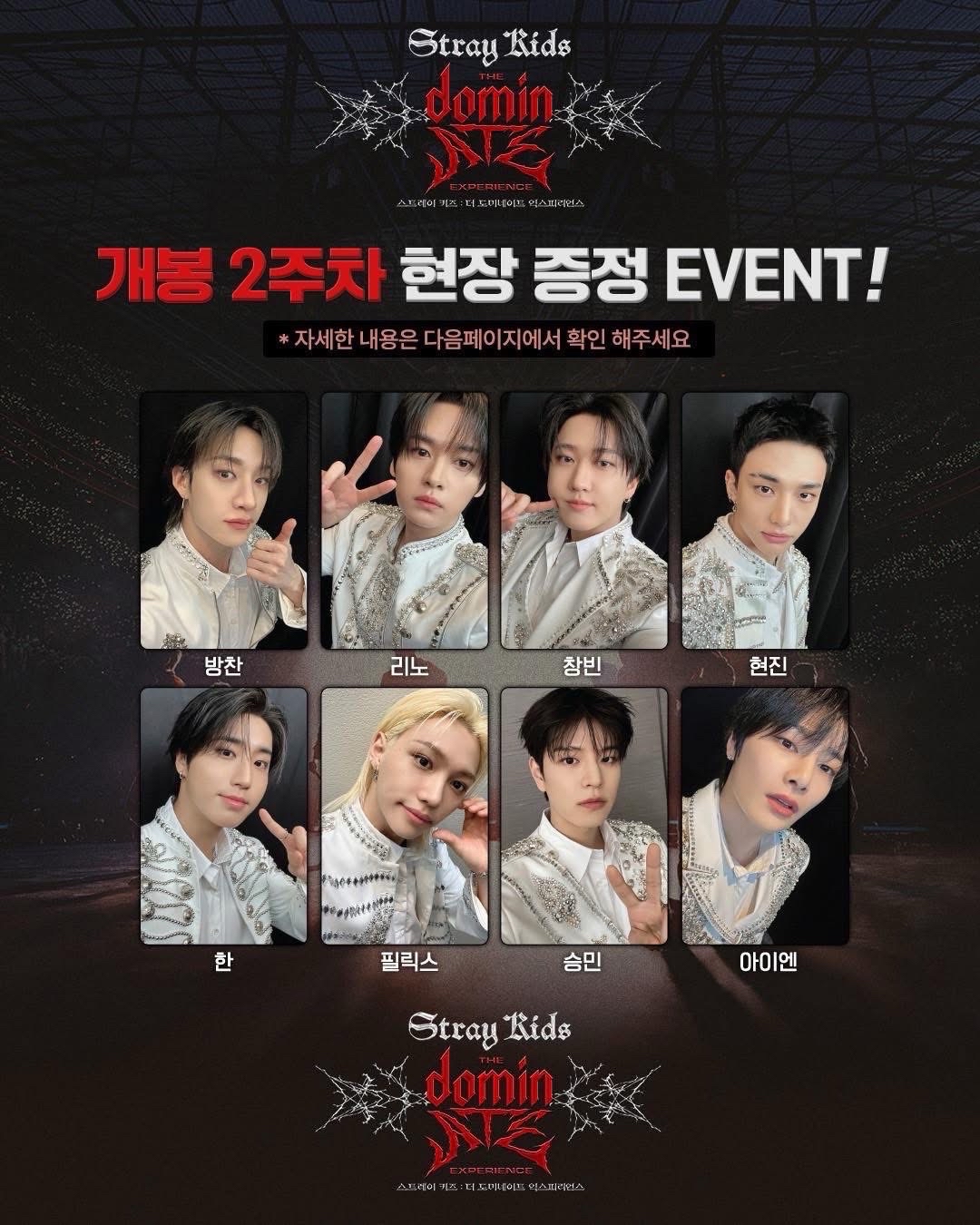 Stray Kids 電影 CGV特典 彬