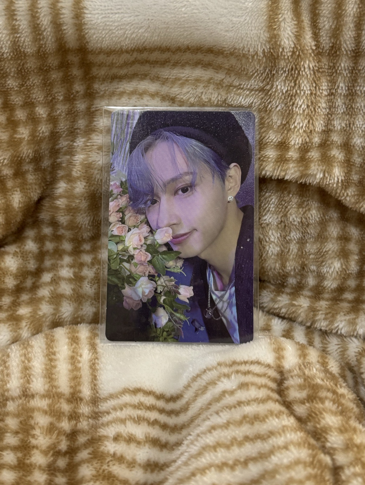 正四後續 專輯卡 正規四後續｜WVS電子專ver.