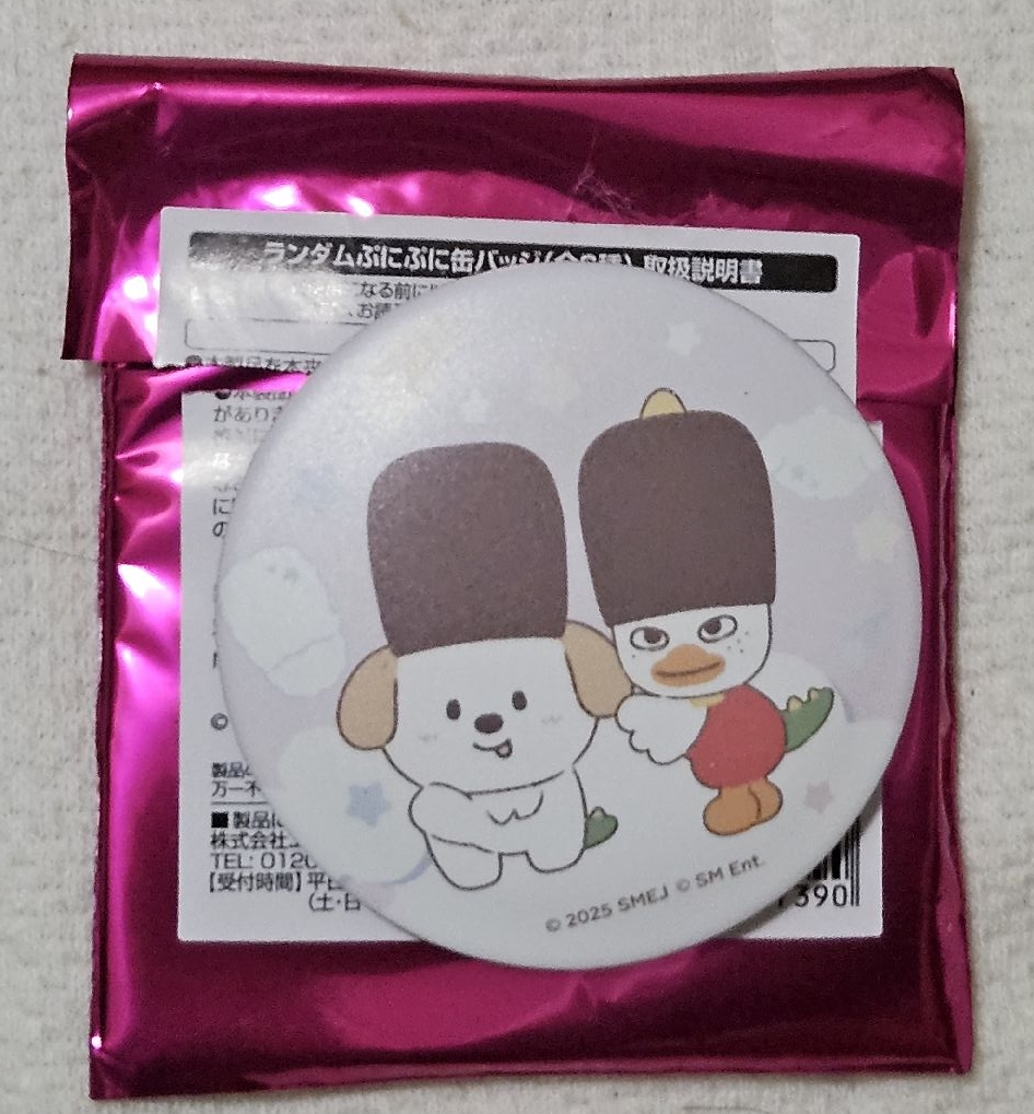 🌟RIIZE park cafe 隨機徽章 熙安