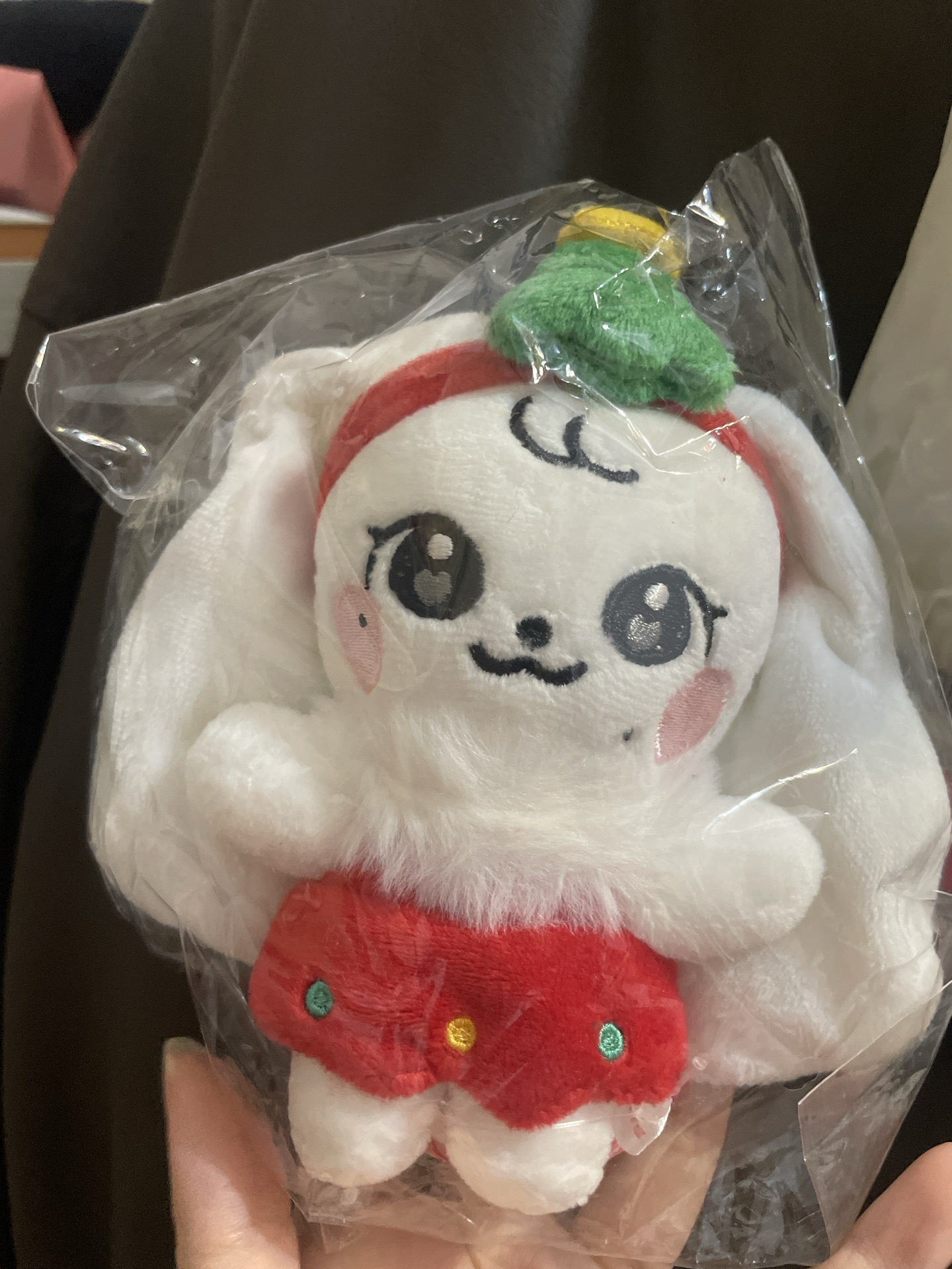 Ive minive聖誕娃 張員瑛