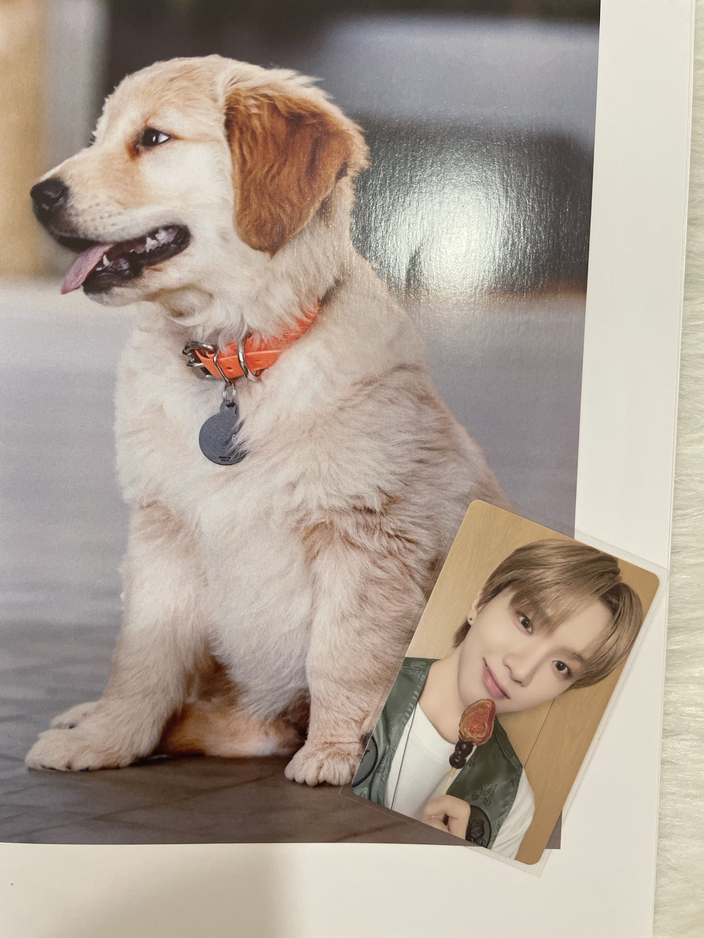 【BND】一直娛北京中選卡🧸