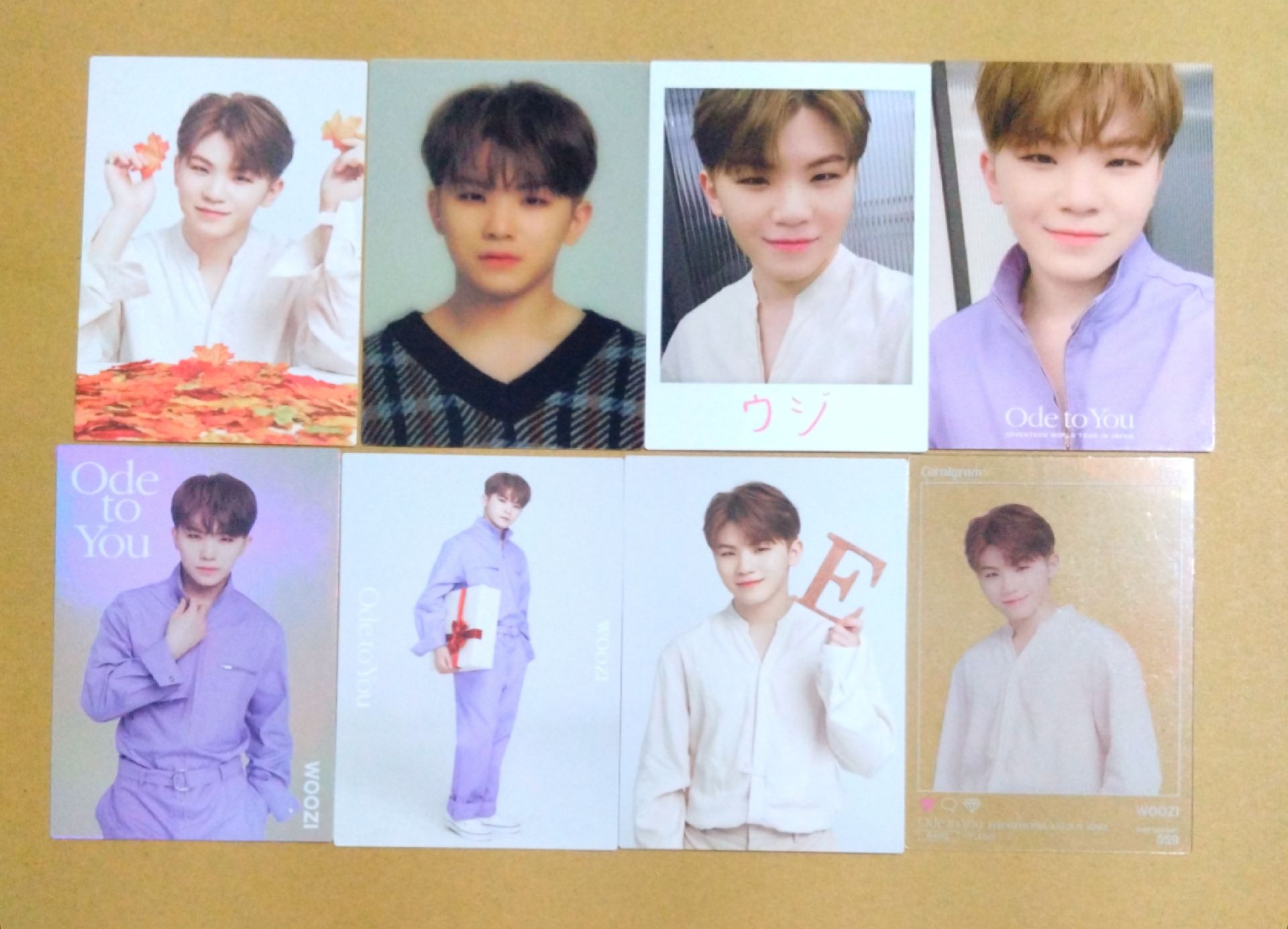 OTY 楓葉勳整套八張