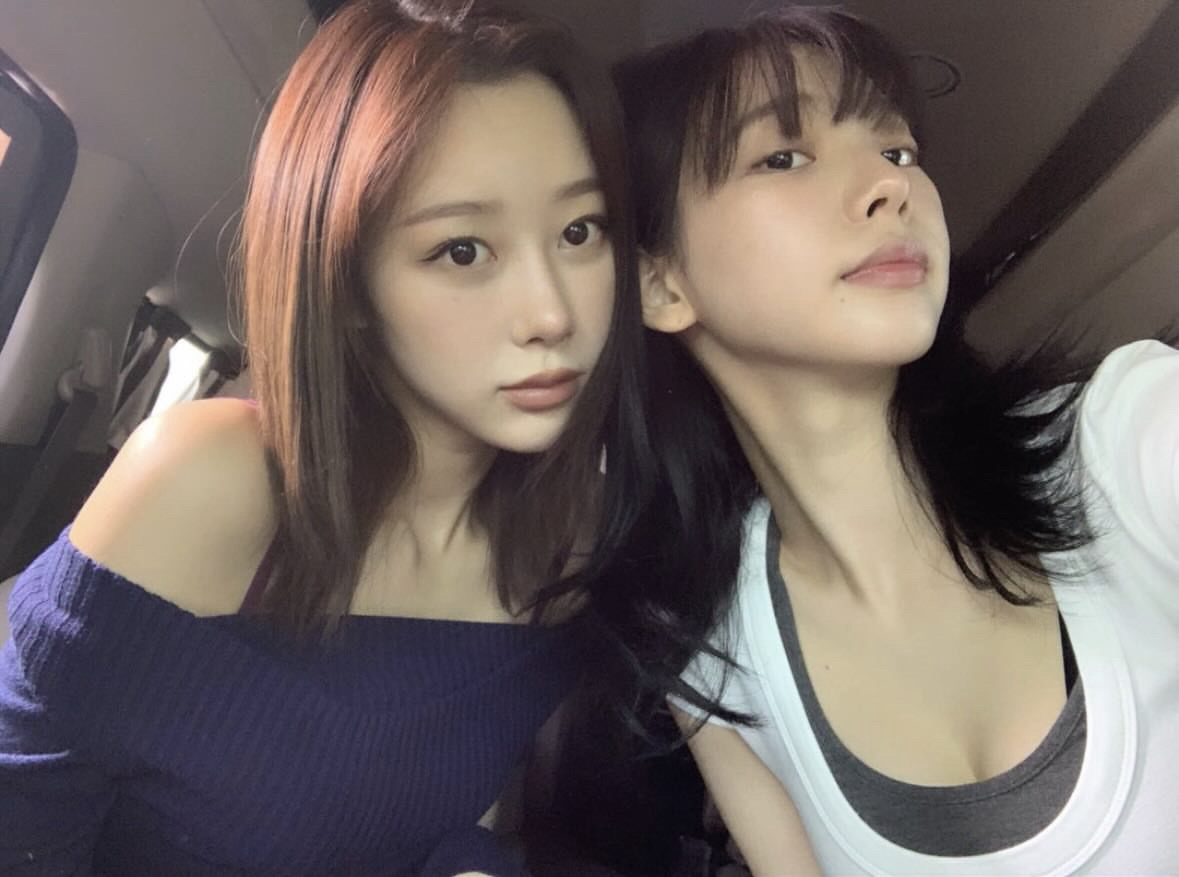 知傘之境