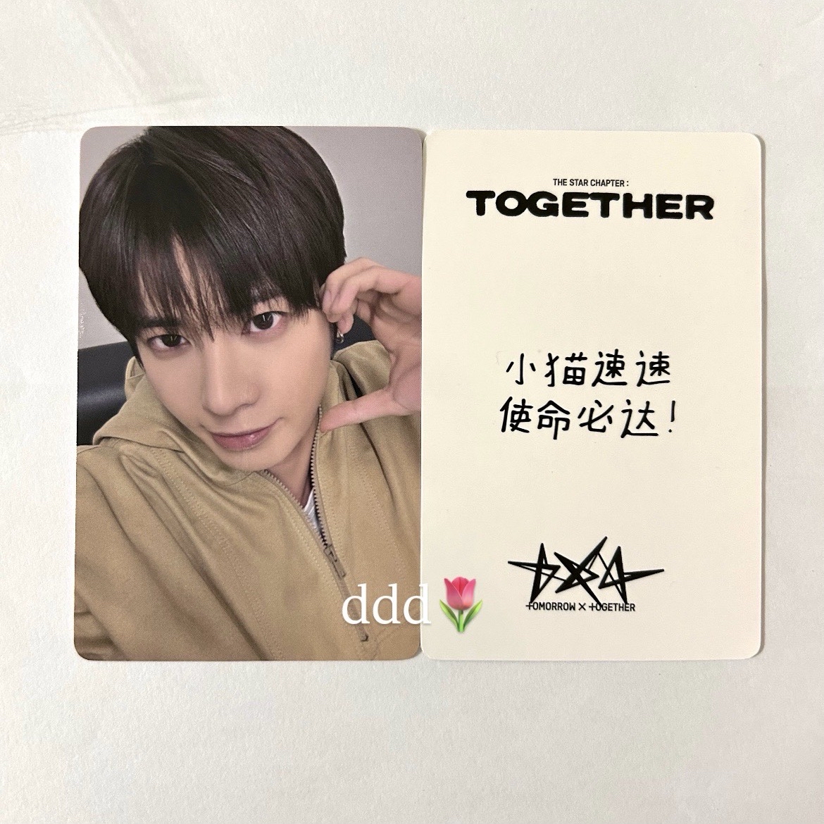 太顯 小貓 中文卡背 姜太顯 yzy