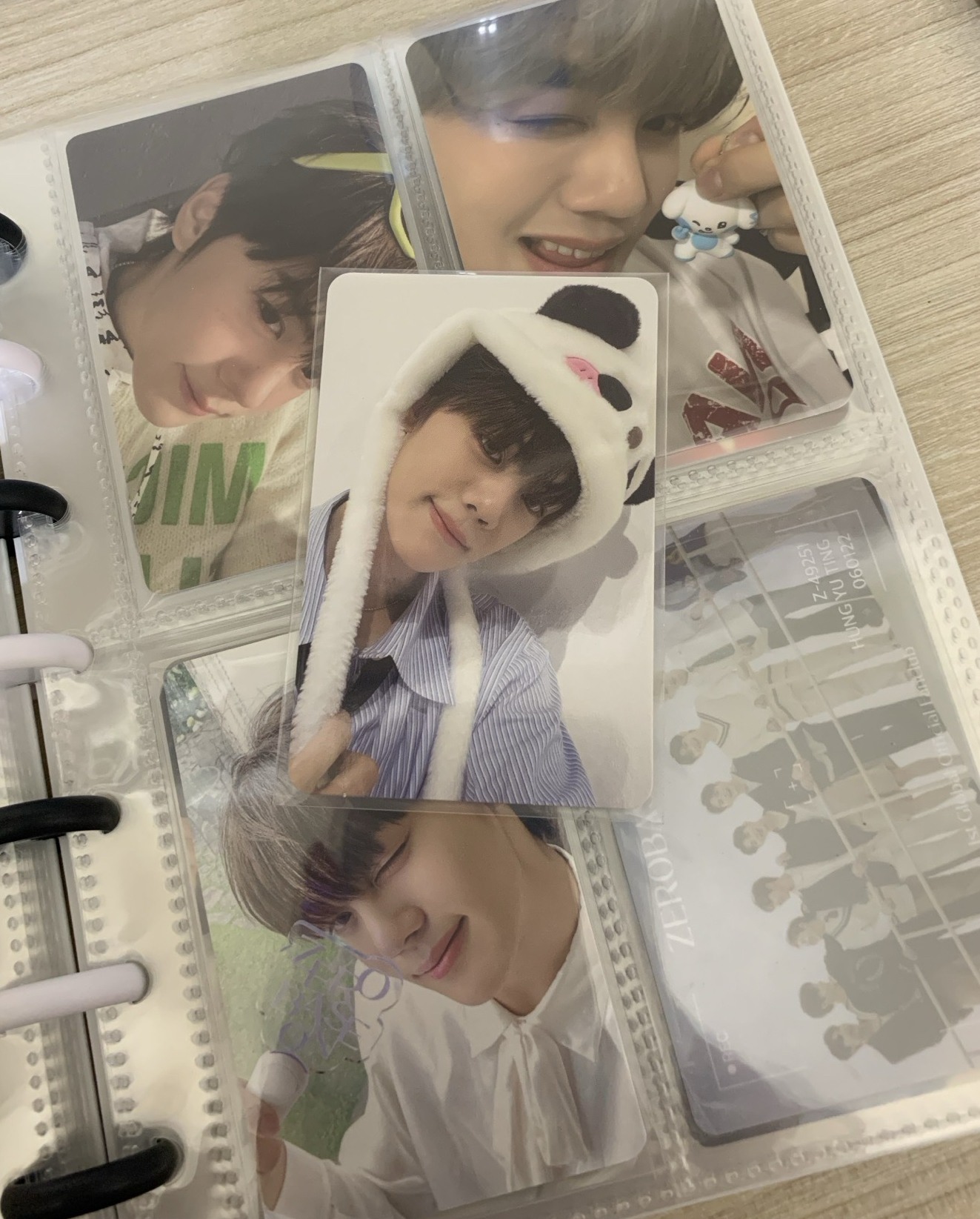 奎小盤（共6張）