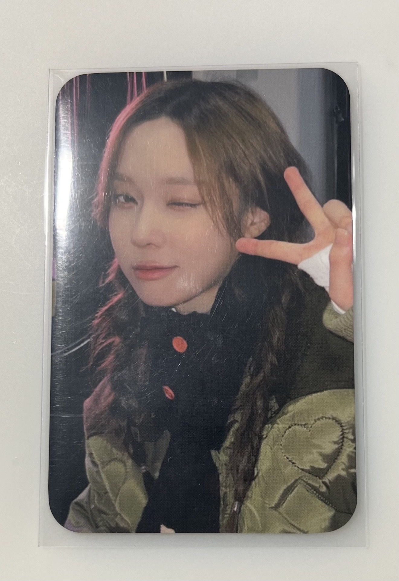 愛寶樂園冬（有損）