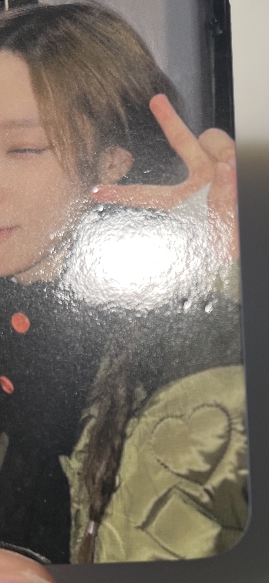 愛寶樂園冬（有損）