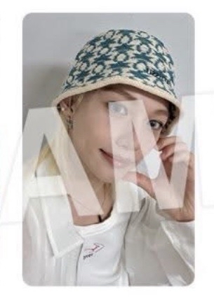 Stray Kids Karma 1/30 場限 辰菲