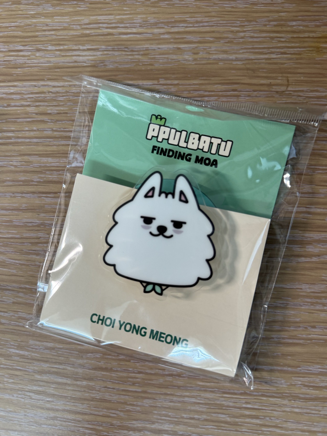 崔勇猛 磁吸手機支架