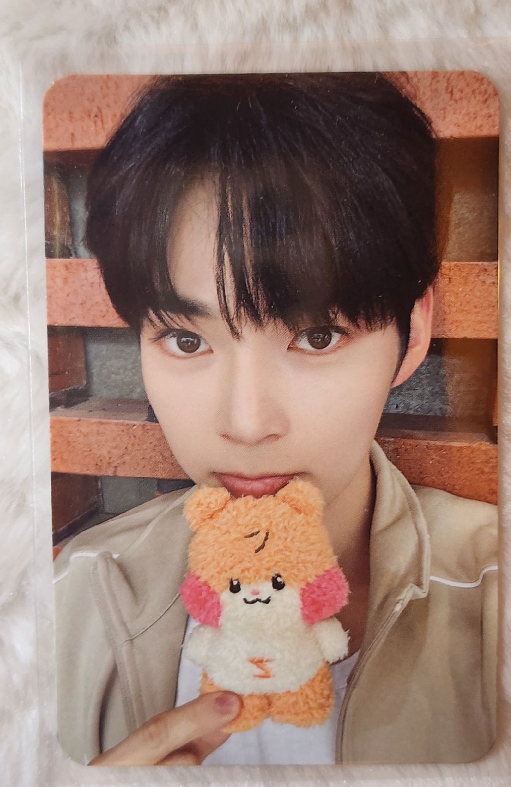 zeroni 周邊卡 盒娃卡 - 韓彬