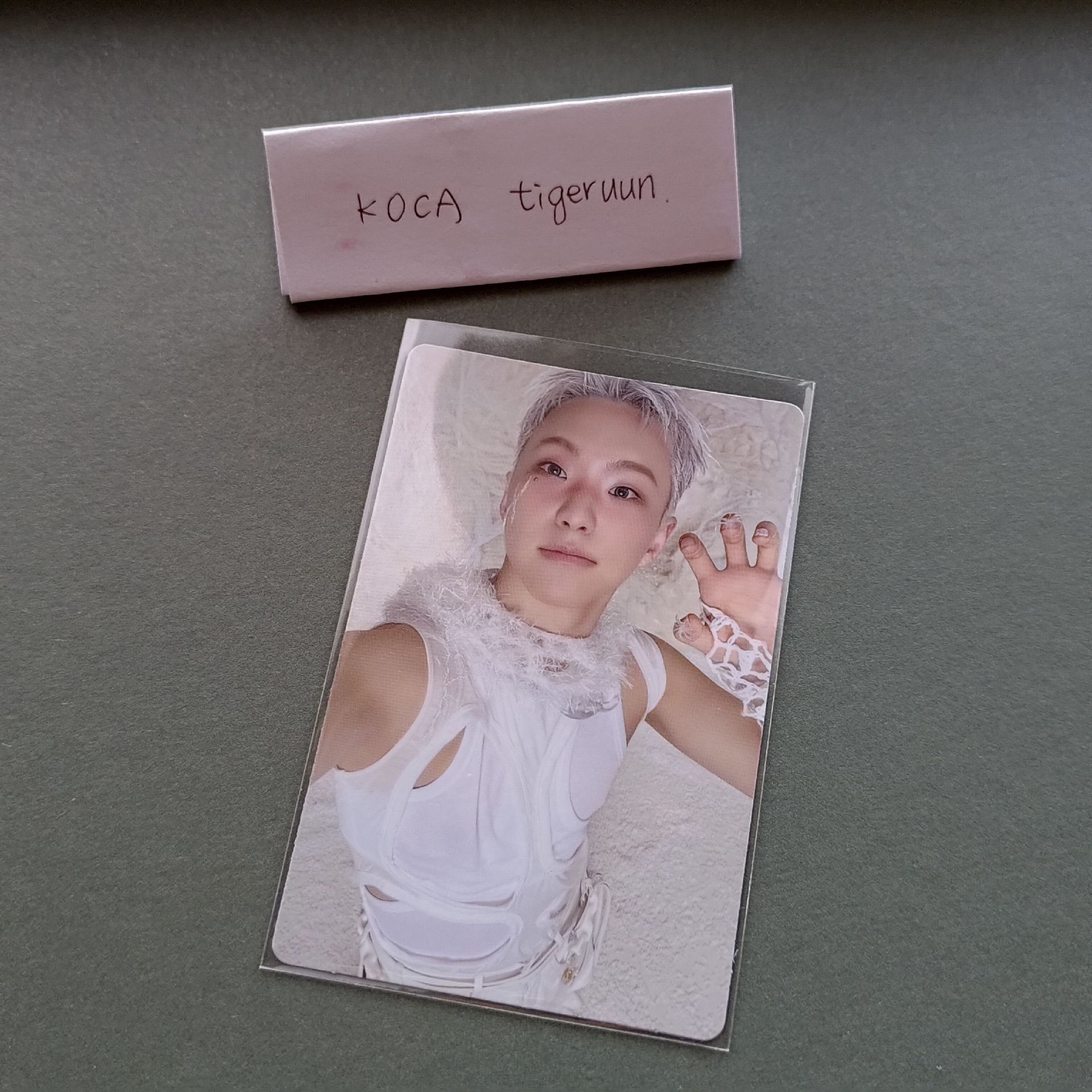 順榮 hoshi 專卡 小卡