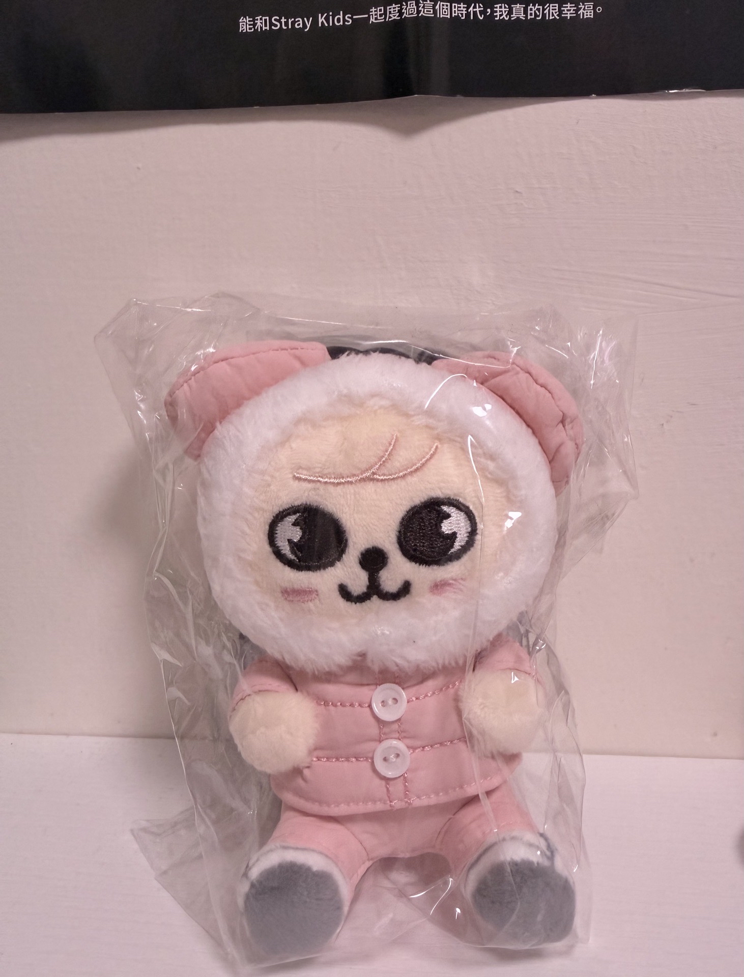 Straykids puppyM 金昇玟官週