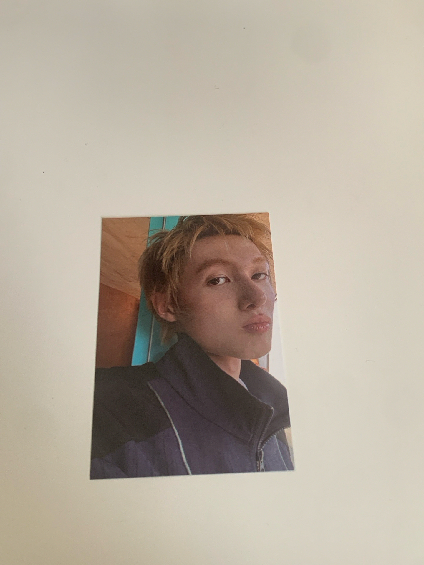 馬丁 年曆wvs 特典