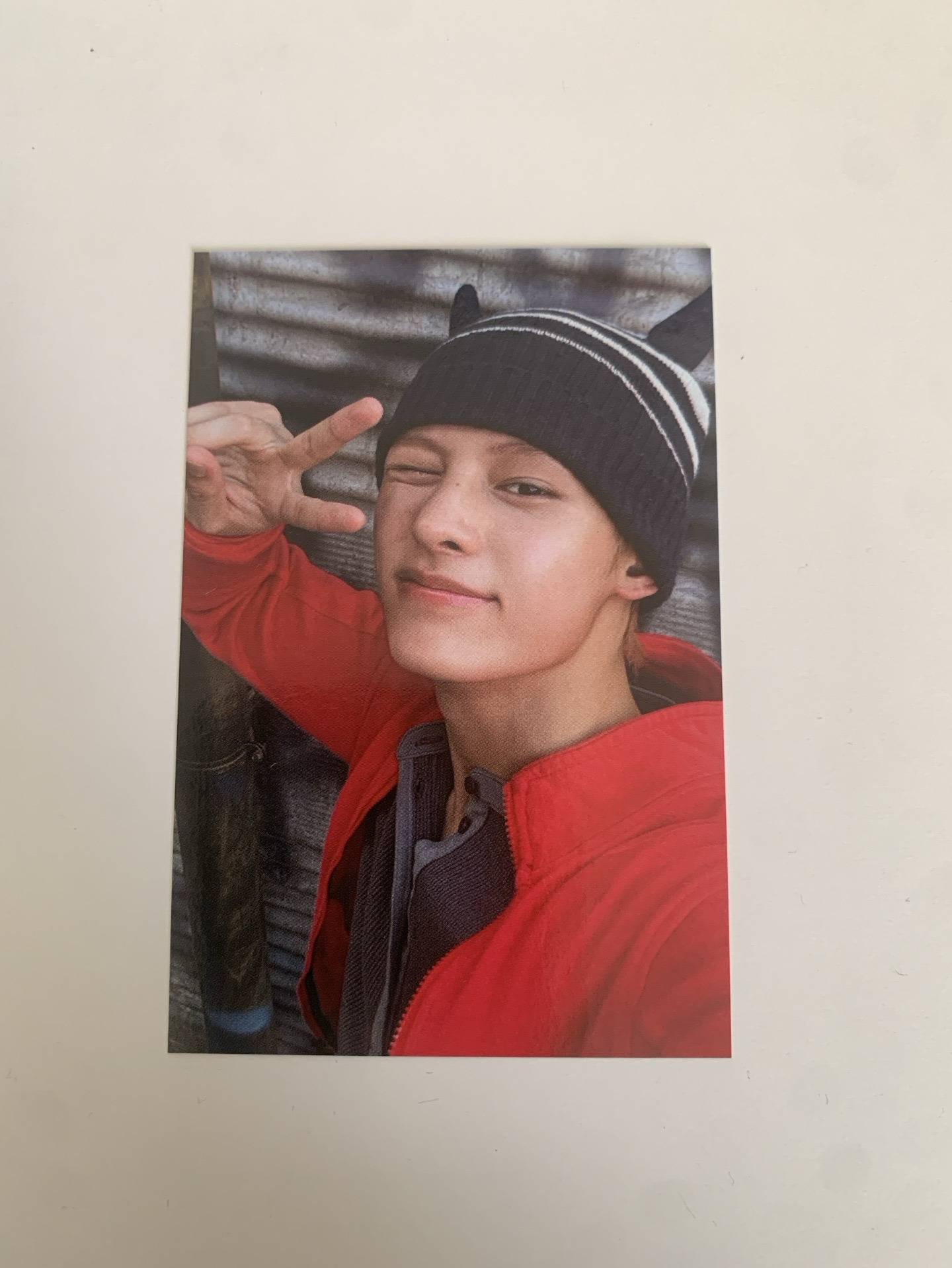 凡 年曆wvs 特典